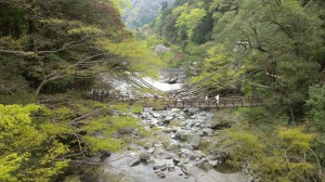 rps20140421_110500_804.jpg