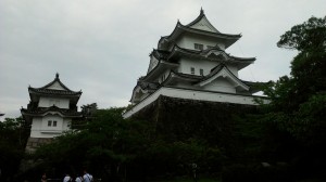 rps20140812_115428_349.jpg