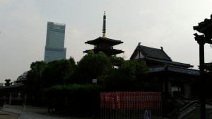 rps20140812_171313_685.jpg