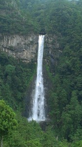 rps20140814_170940_495.jpg