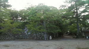 rps20140816_174547_771.jpg