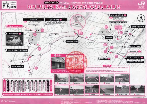 kekihi-map-koganei