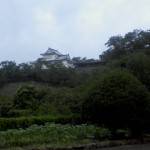 SA3A0015.JPG