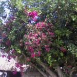 SA3A0067.JPG