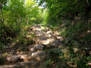 一気に登る